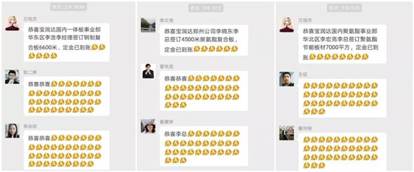 寶潤達新型材料有限公司