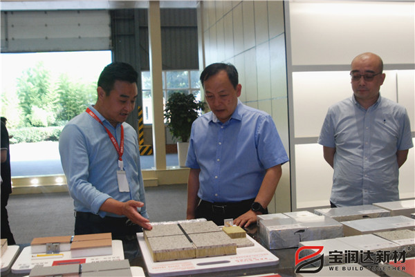 副市長趙勝業(yè)一行來訪寶潤達考察調(diào)研