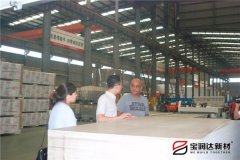 美國Rocky先生來訪寶潤達(dá)洽談一體板項(xiàng)目